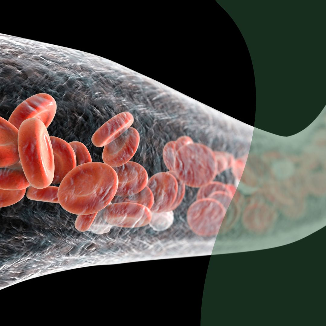 Memoria y circulación(3  de Omegas 3 6 7 9 + 3 de Plenitud)